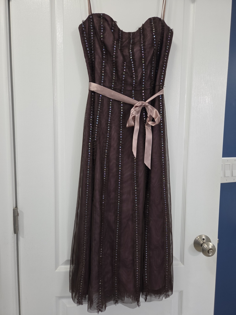 BCBGMaxAzria Plum Strapless Evening Gown with Blush Satin Waist Tie